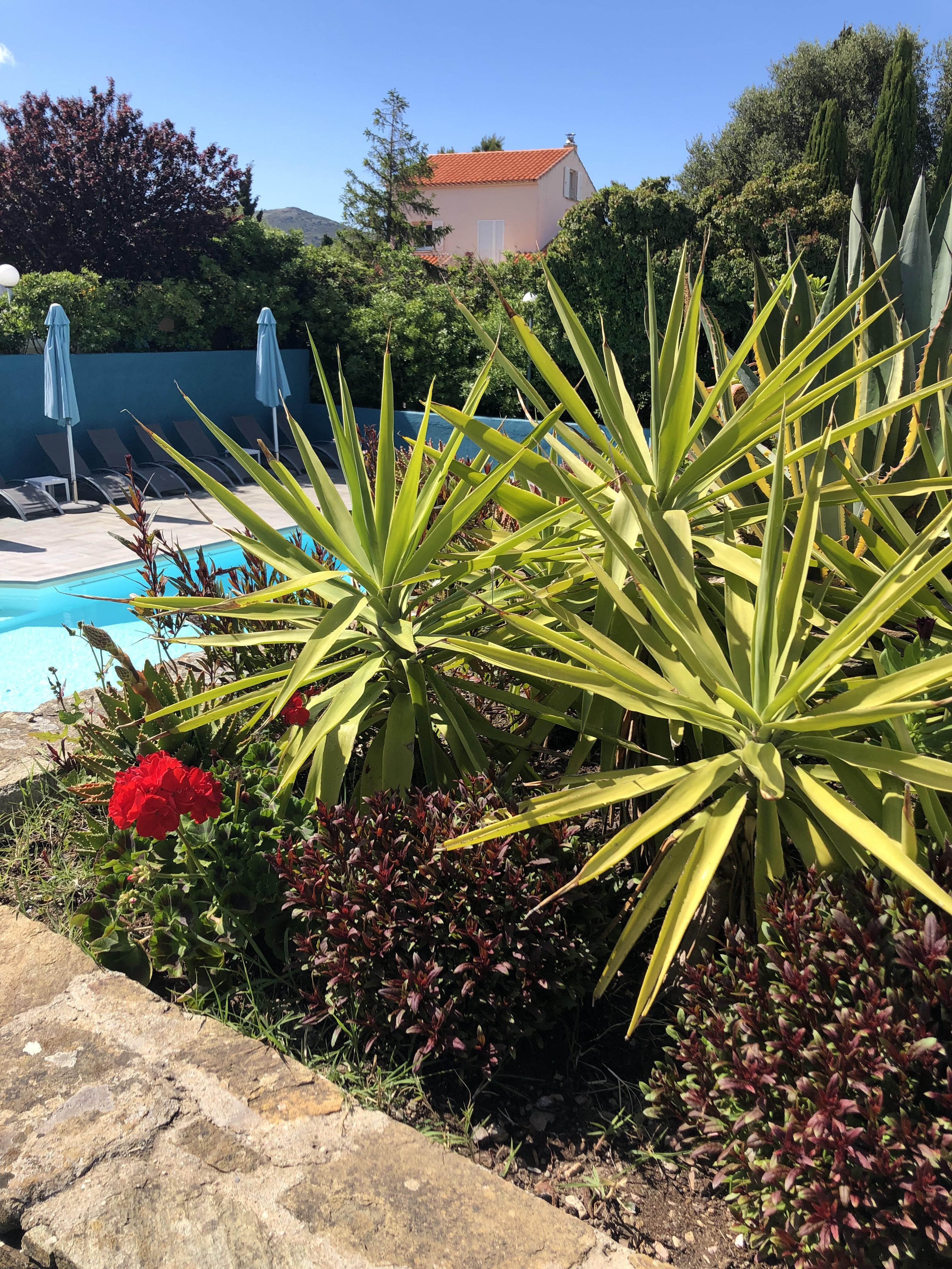 Hotel U Ricordu & Spa Macinaggio  Bagian luar foto